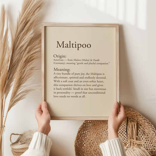 Maltipoo Print | Maltipoo Owner Gift | Small Dog Wall Art | Maltipoo Lover Poster