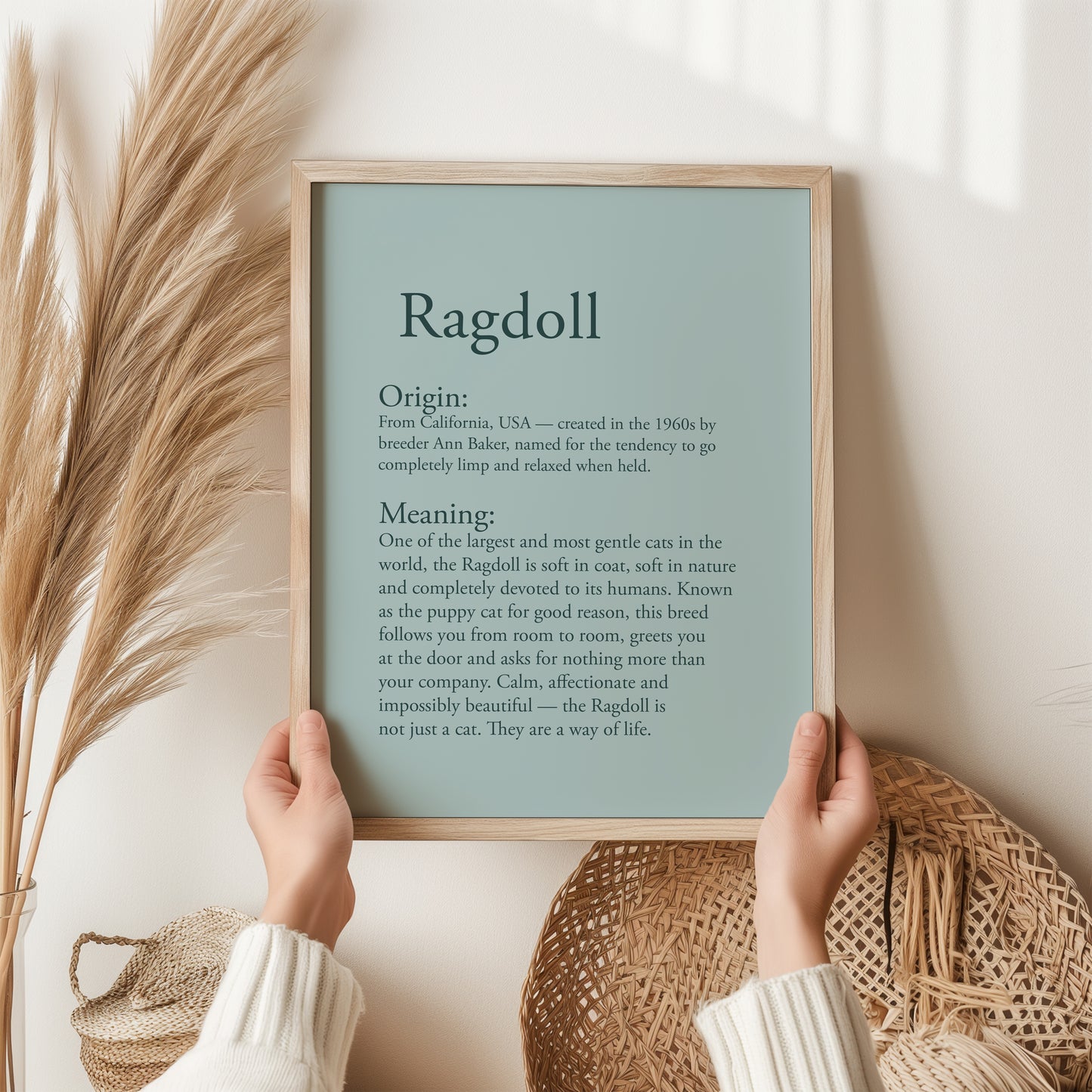 Ragdoll Cat Print | Puppy Cat Breed Gift | Gentle Giant Feline Wall Art | Cat Lover Poster
