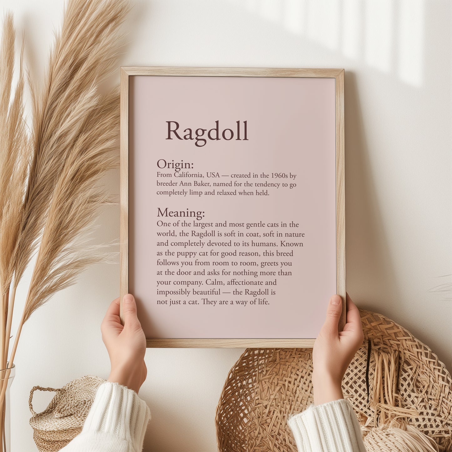 Ragdoll Cat Print | Puppy Cat Breed Gift | Gentle Giant Feline Wall Art | Cat Lover Poster
