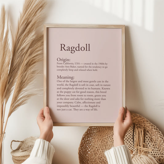 Ragdoll Cat Print | Puppy Cat Breed Gift | Gentle Giant Feline Wall Art | Cat Lover Poster