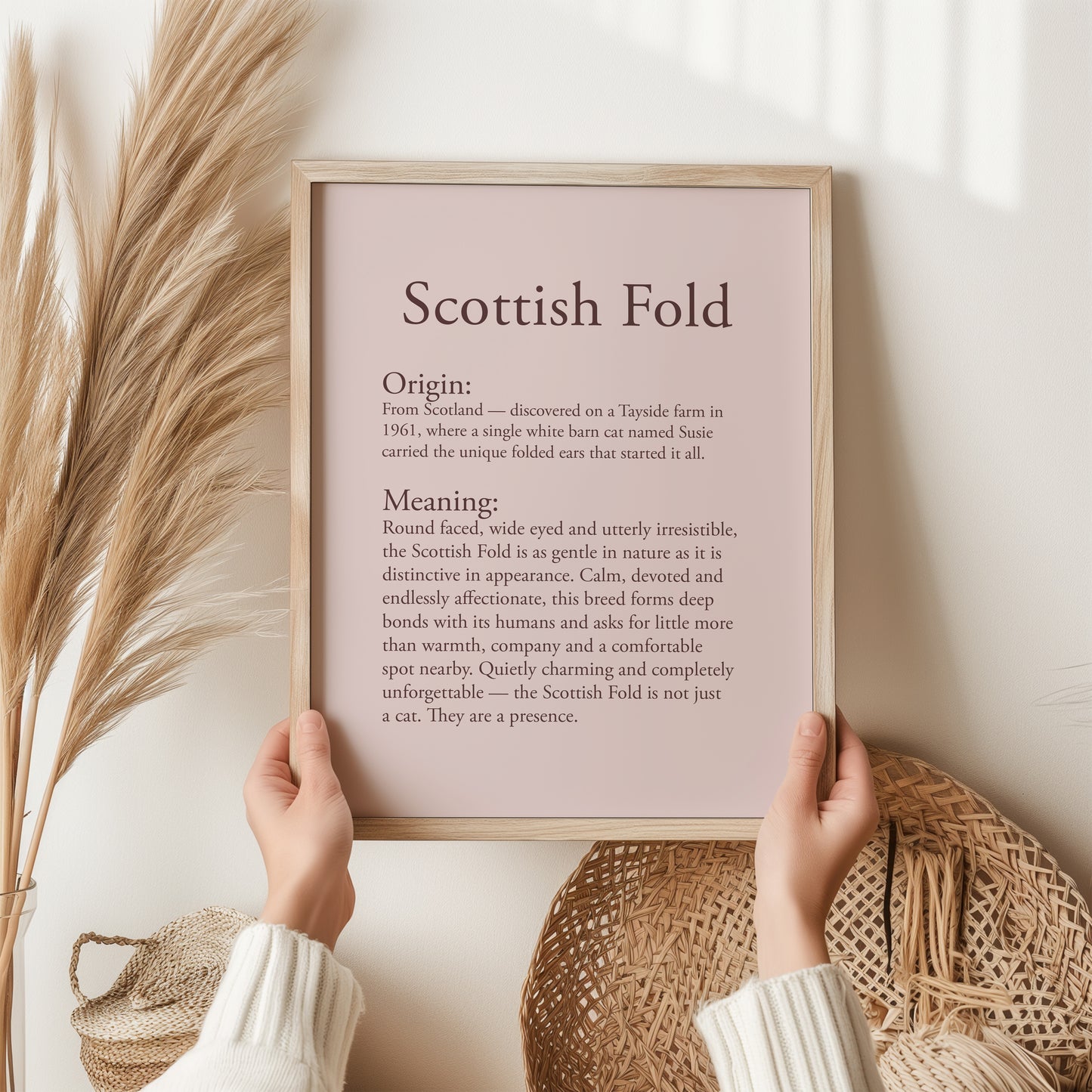 Scottish Fold Cat Print | Scottish Fold Owner Gift | Round Eared Cat Wall Art | Cat Lover Poster